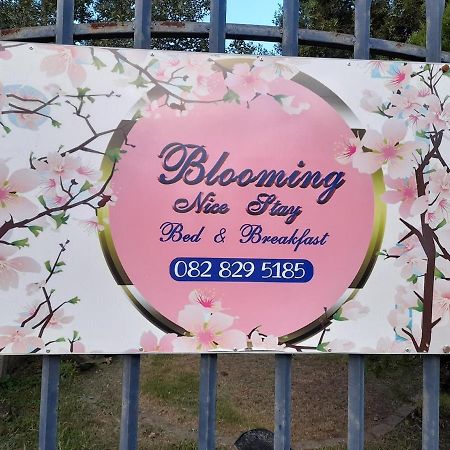 האריסמית Blooming Nice Stay מראה חיצוני תמונה